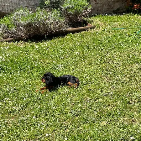 Il Rifugio Della Felicita Civitella * Setri