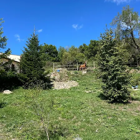Il Rifugio Della Felicita Civitella Bed & Breakfast