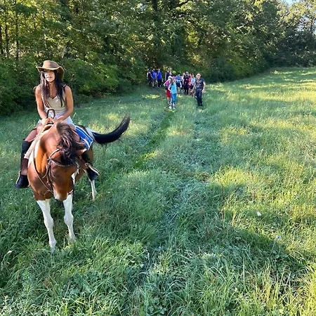 Il Rifugio Della Felicita Civitella *