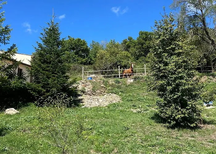 Il Rifugio Della Felicità Civitella Bed & Breakfast